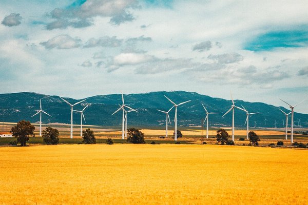 Comprendre les impacts de la crise sanitaire sur le développement de l'énergie éolienne domestique