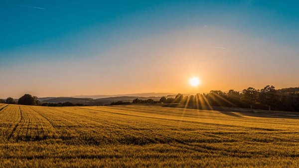 Les avantages de l'énergie éolienne domestique pour les agriculteurs