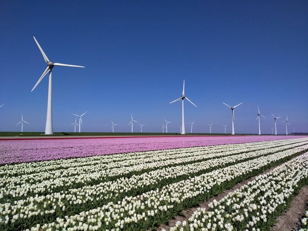 Comment concilier l'énergie éolienne domestique et le respect du paysage ?