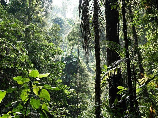 Comment protéger la biodiversité face aux risques liés à l'énergie éolienne domestique ?