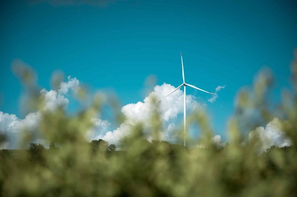 Comment favoriser la biodiversité autour des installations d'énergie éolienne domestique ?
