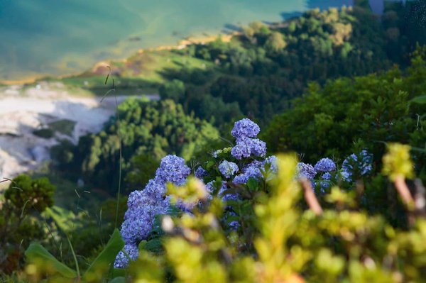 Préserver la Biodiversité et Promouvoir l'Énergie Éolienne Domestique : Les Initiatives Citoyennes à Connaître !