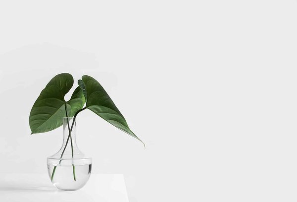 Qu'est-ce que le minimalisme et comment l'adopter ?
