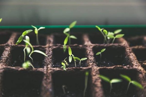 Quels sont les avantages et les inconvénients de la permaculture ?