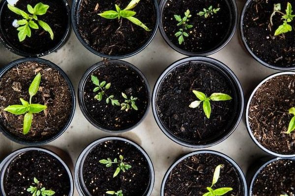 Les meilleures ressources pour apprendre et se former à la permaculture